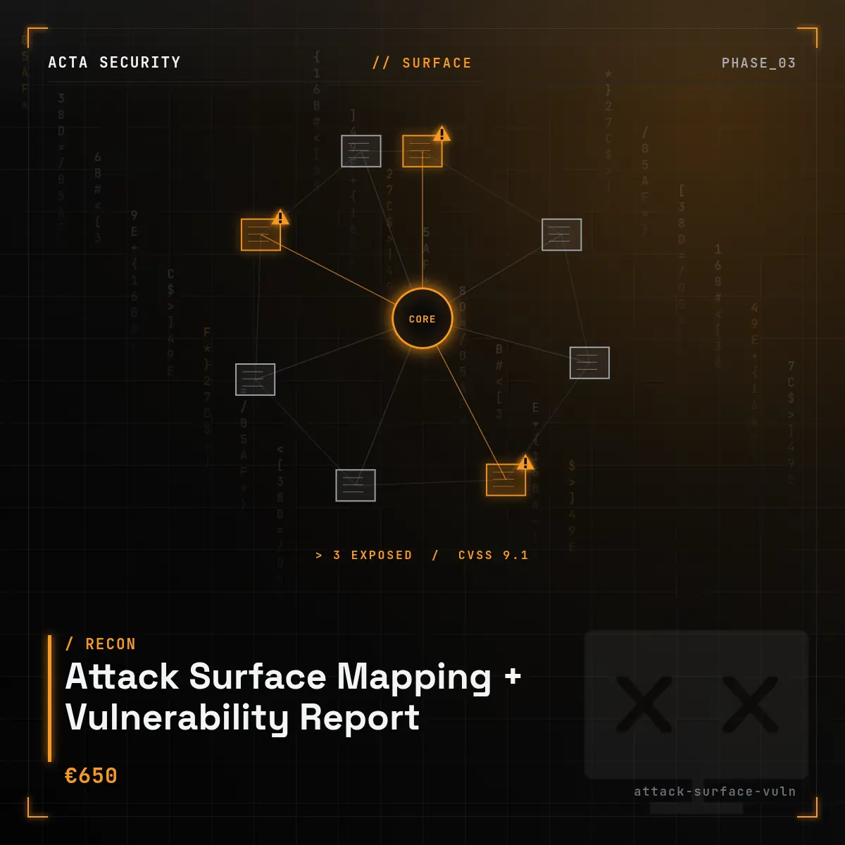 Attack Surface Mapping + Vulnerability Report