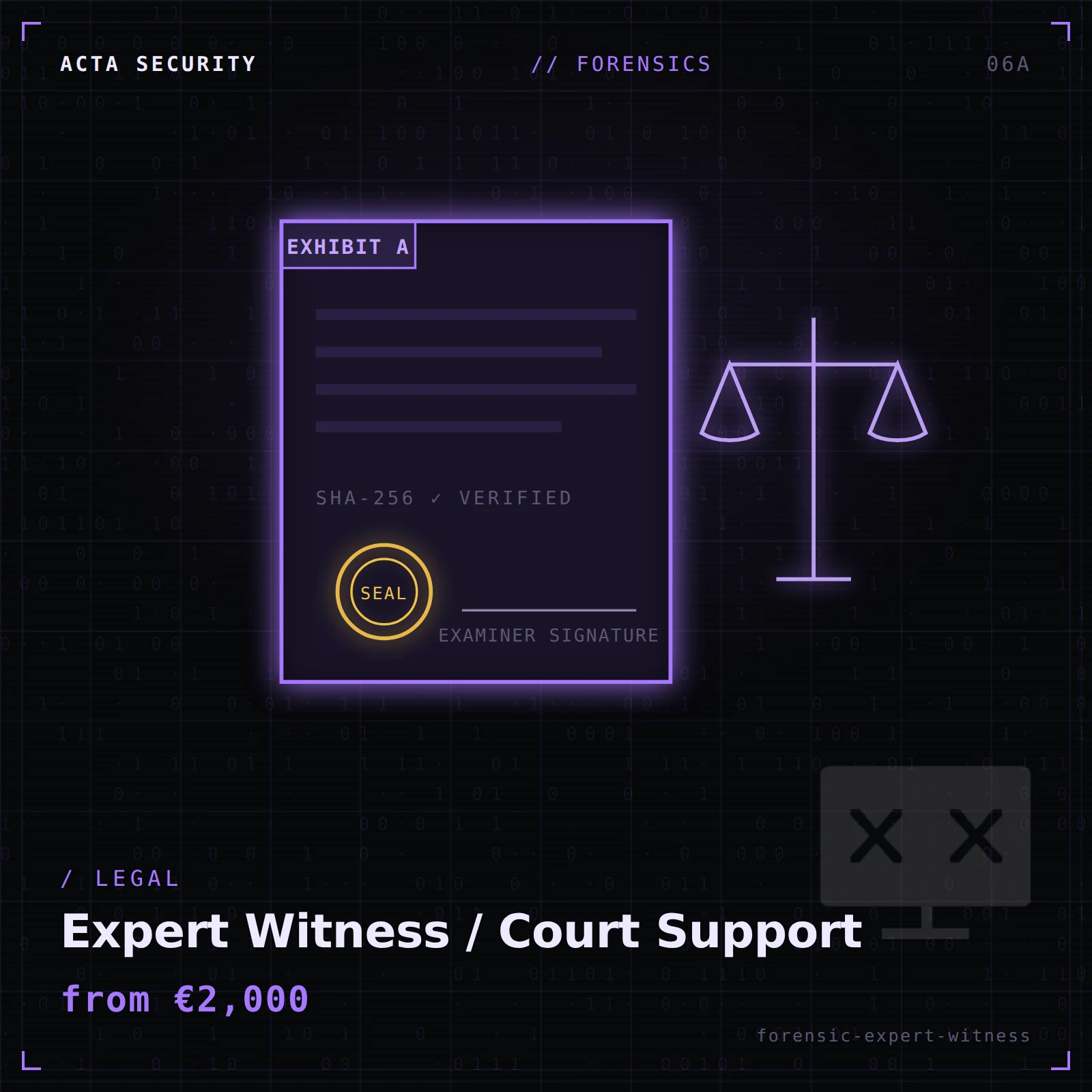 Expert Witness / Court Support